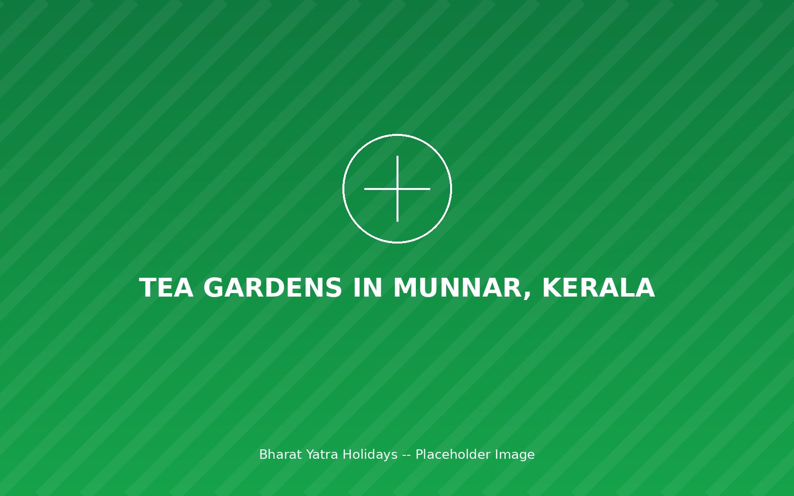 Tea gardens in Munnar, Kerala