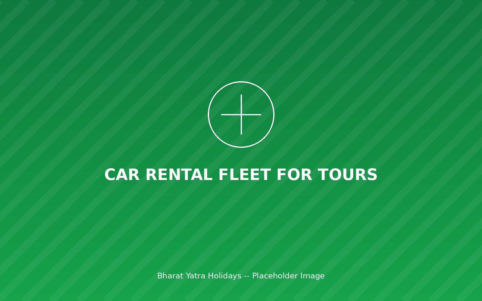 Car rental fleet for tours